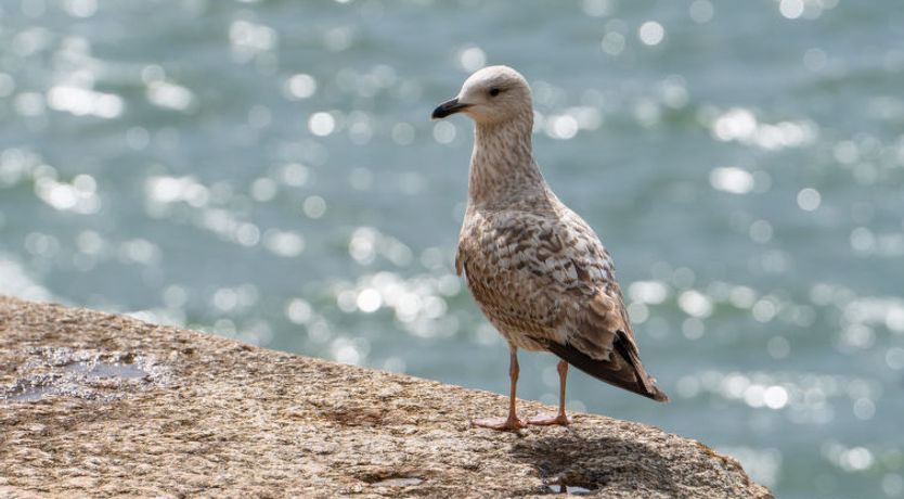 Photo of The Hideaway