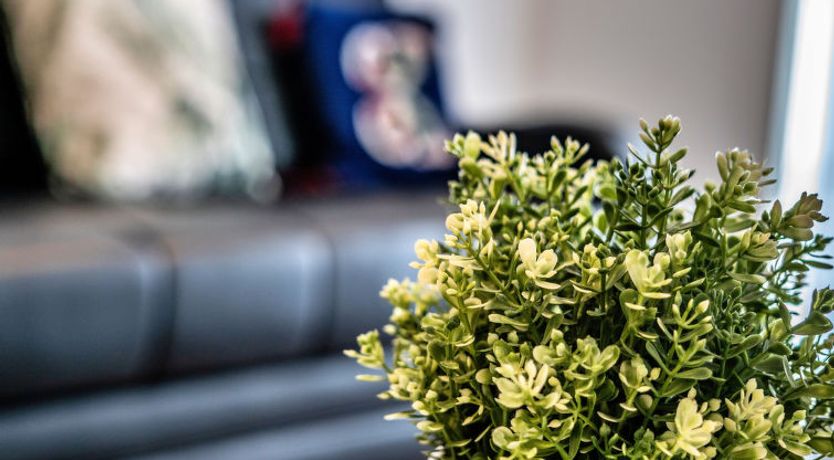 Photo of Aldridge Square