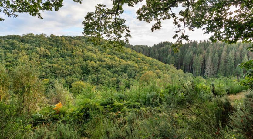 Photo of Forest Park Lodge