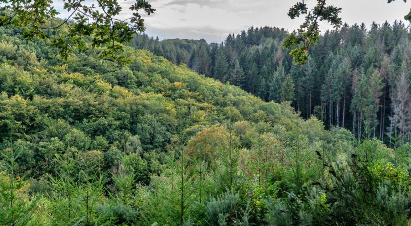 Photo of Forest Park Lodge