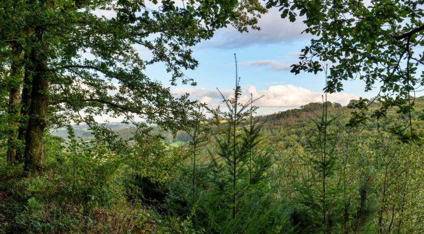 Photo of Forest Park Lodge