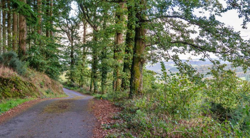 Photo of Forest Park Lodge