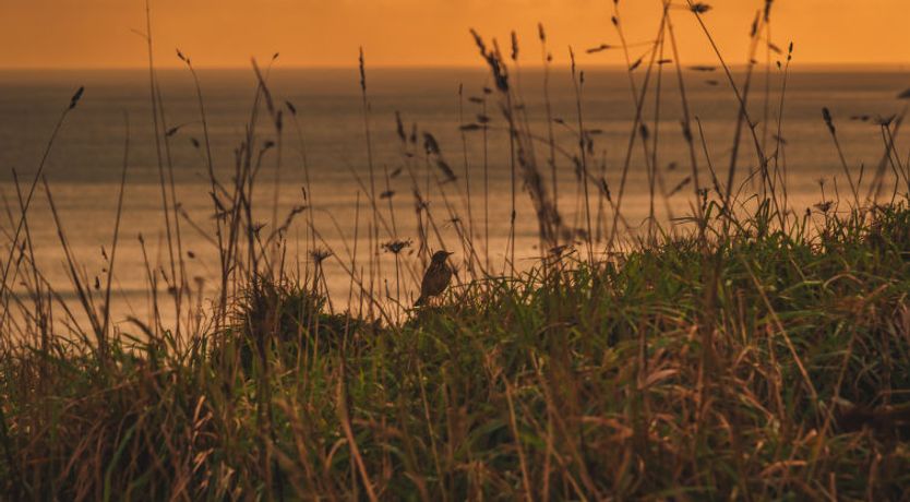 Photo of The Old Store