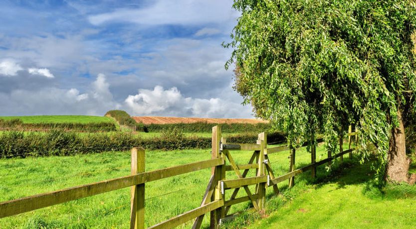 Photo of The Barn at Prowses Farm