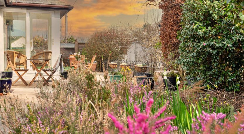 Photo of The Duck House