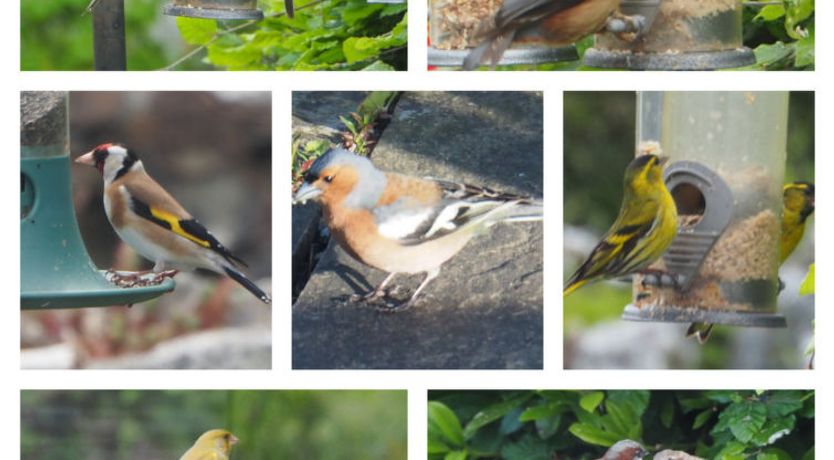 Photo of The Duck House