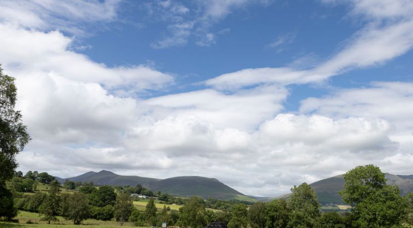 Photo of The Duck House