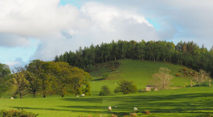 Photo of The Duck House