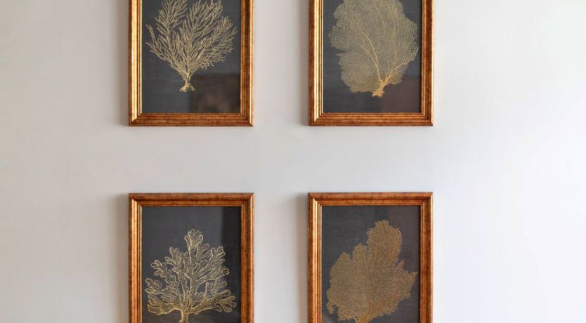 Photo of Sheila's Cottage