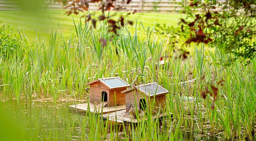 Photo of The Old Rectory