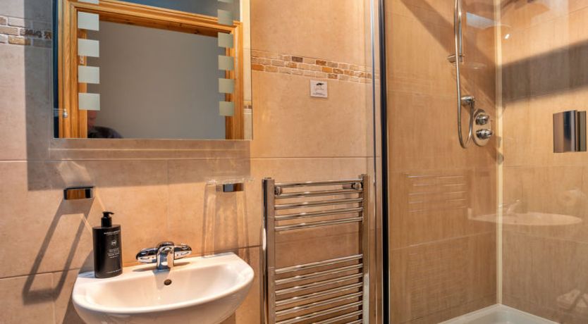 Photo of Oystercatcher