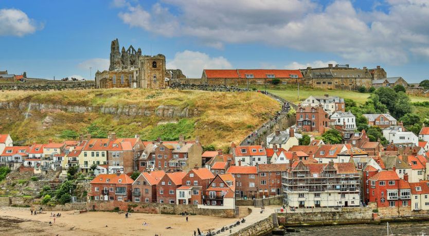 Photo of Oystercatcher