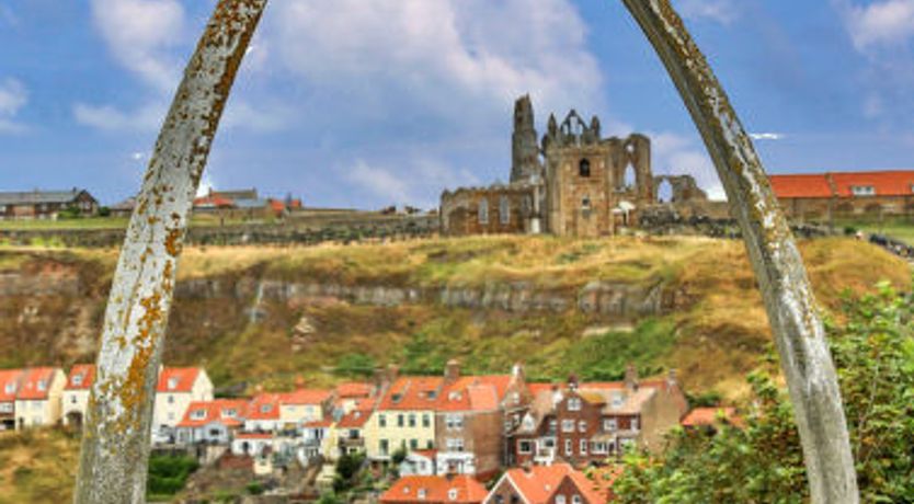 Photo of Oystercatcher