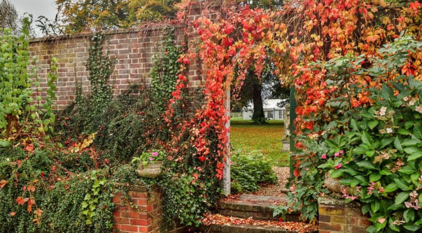 Photo of Walcot Hall