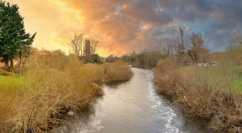 Photo of The Bank House