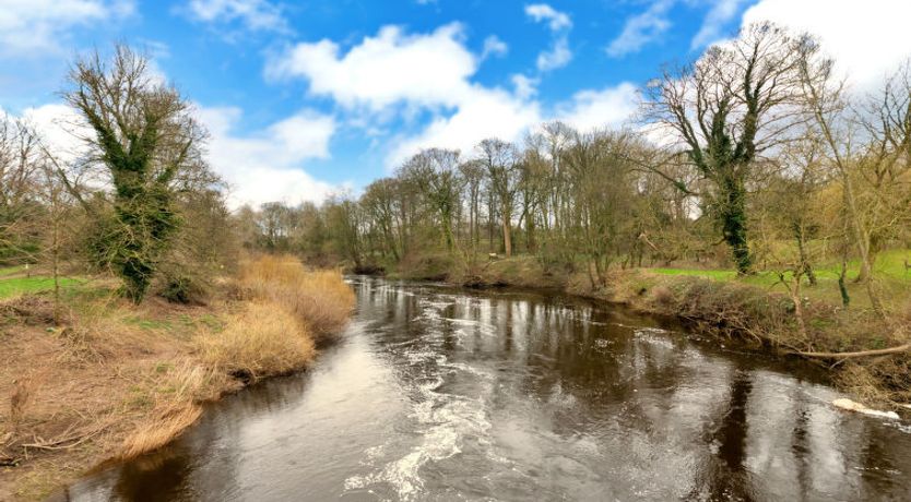 Photo of The Bank House