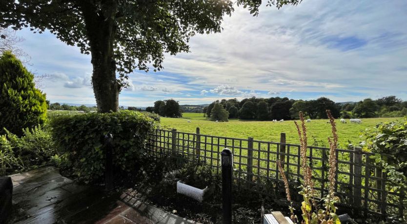 Photo of Ivy Cottage