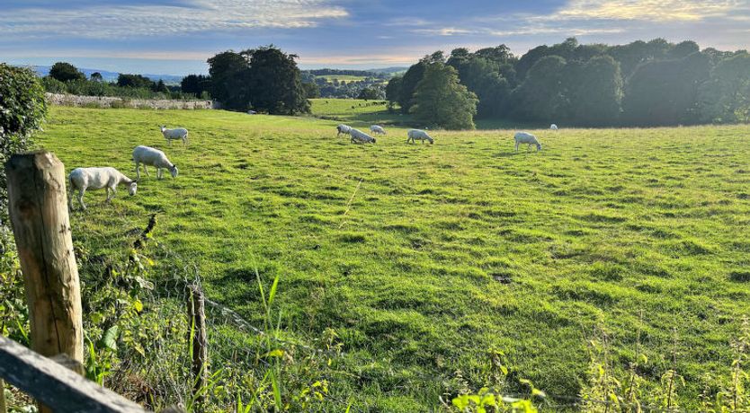 Photo of Ivy Cottage