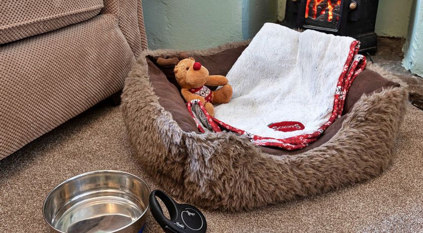 Photo of Otters Holt