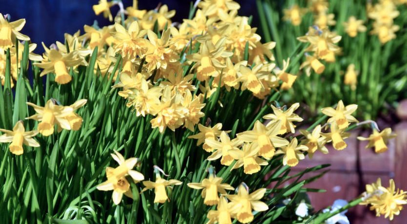 Photo of Stable Cottage