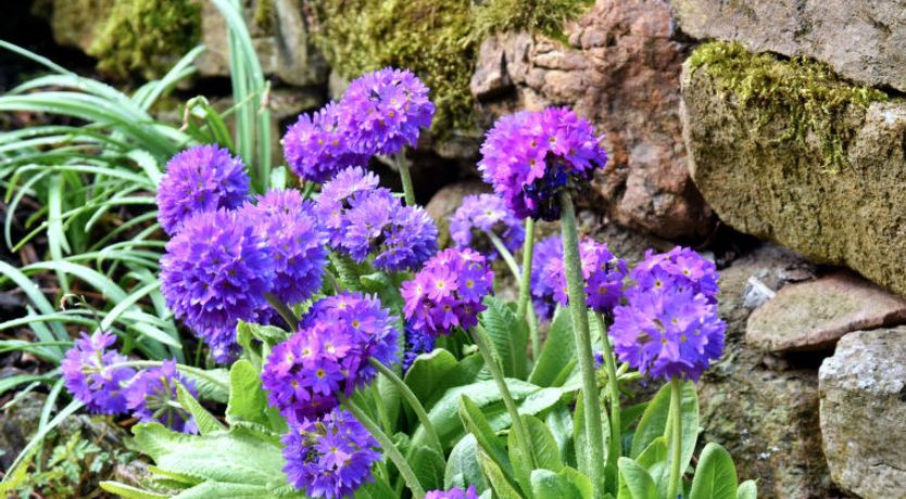 Photo of Stable Cottage
