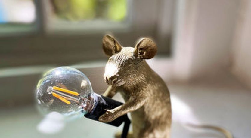 Photo of Calm Cottage, Kingsand