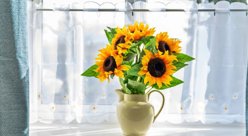 Photo of Tyg Cottage near Masham, Fountains Abbey & Brimha