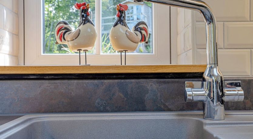 Photo of The Potting Shed