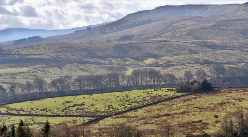 Photo of Dales Barn Top