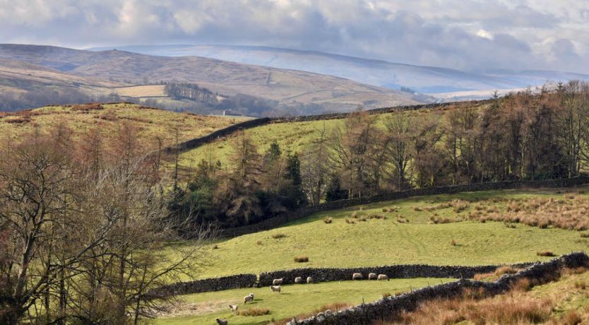 Photo of Dales Barn Top