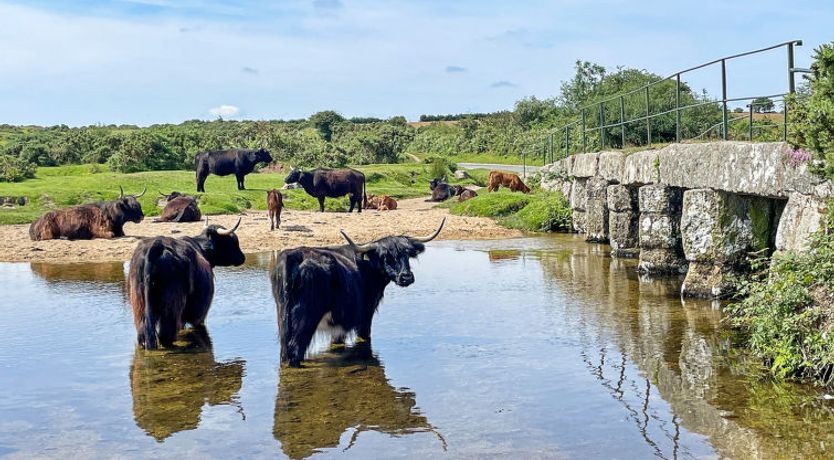 Photo of Stable Barn Apartment at Bodmin Moor
