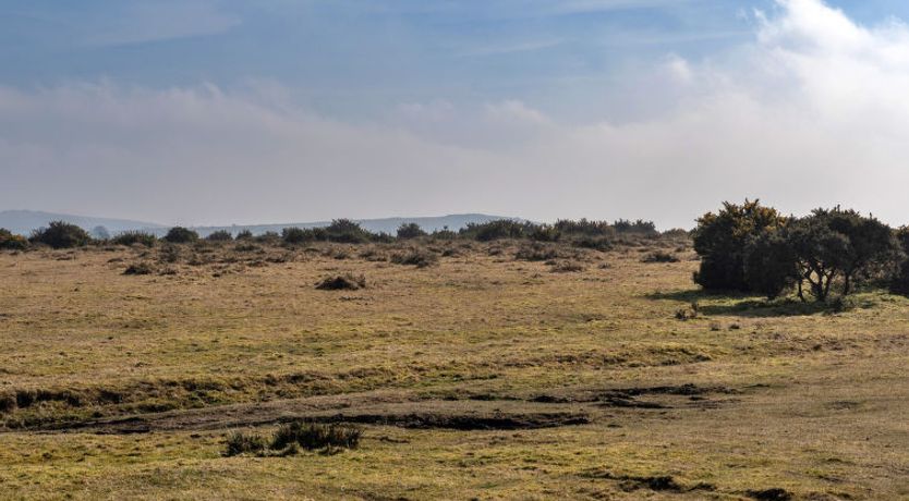 Photo of Stable Barn Apartment at Bodmin Moor