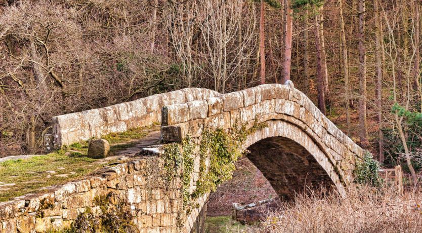 Photo of Ingleside Cottage