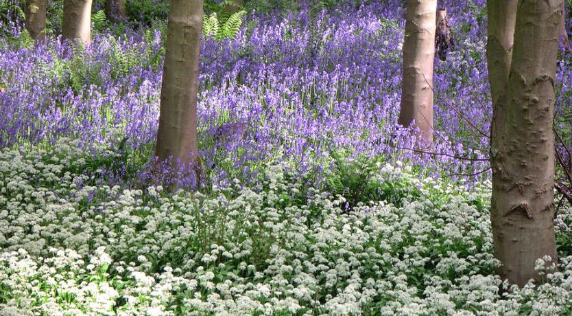 Photo of Ingleby Manor - South Front