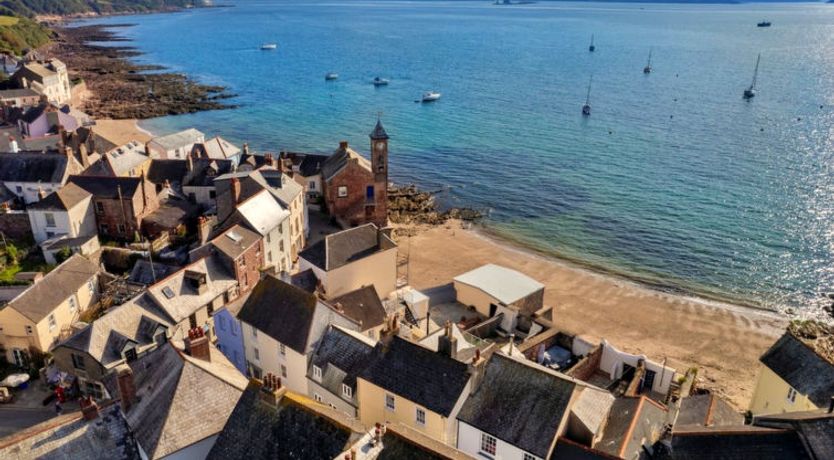 Photo of Blue Monkey