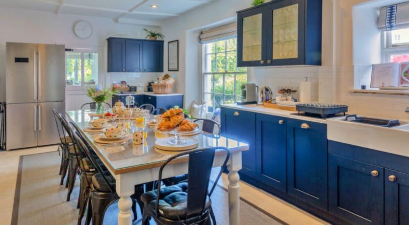 Photo of Blue Monkey