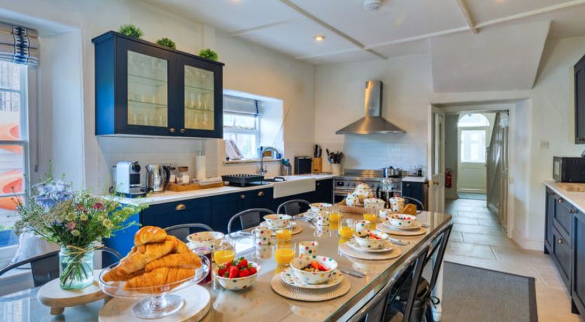 Photo of Blue Monkey