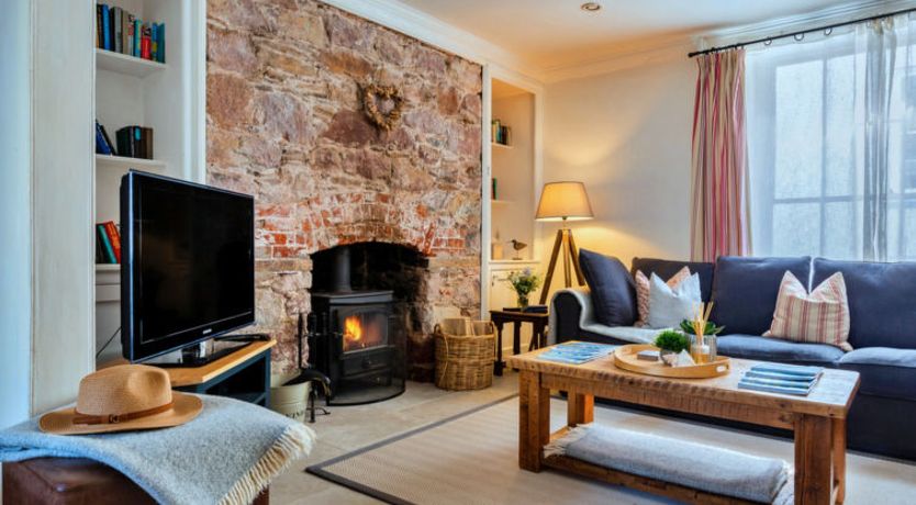 Photo of Blue Monkey