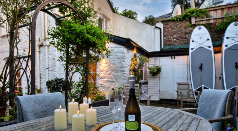 Photo of Blue Monkey