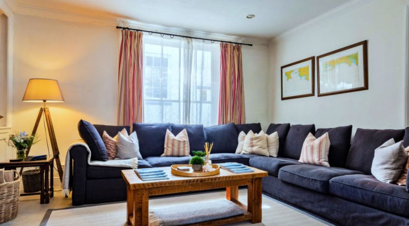 Photo of Blue Monkey