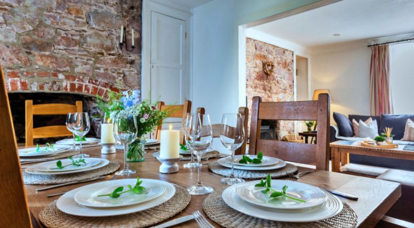 Photo of Blue Monkey