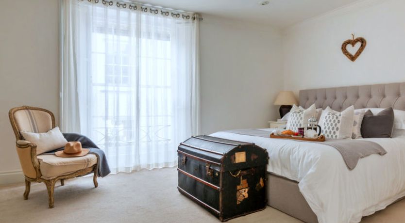 Photo of Blue Monkey