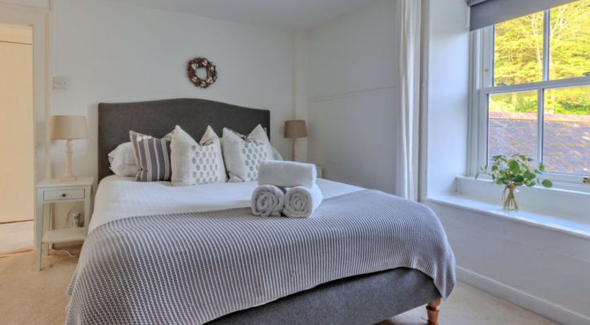 Photo of Blue Monkey