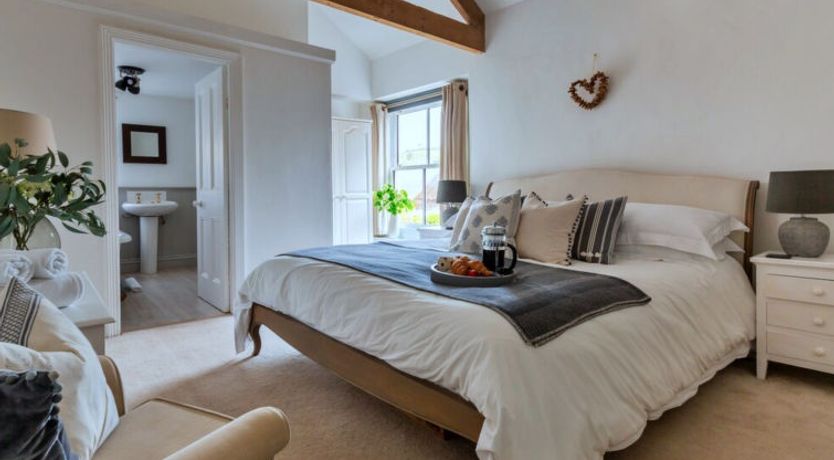 Photo of Blue Monkey