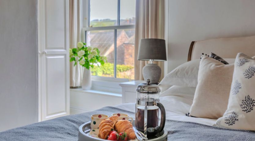 Photo of Blue Monkey