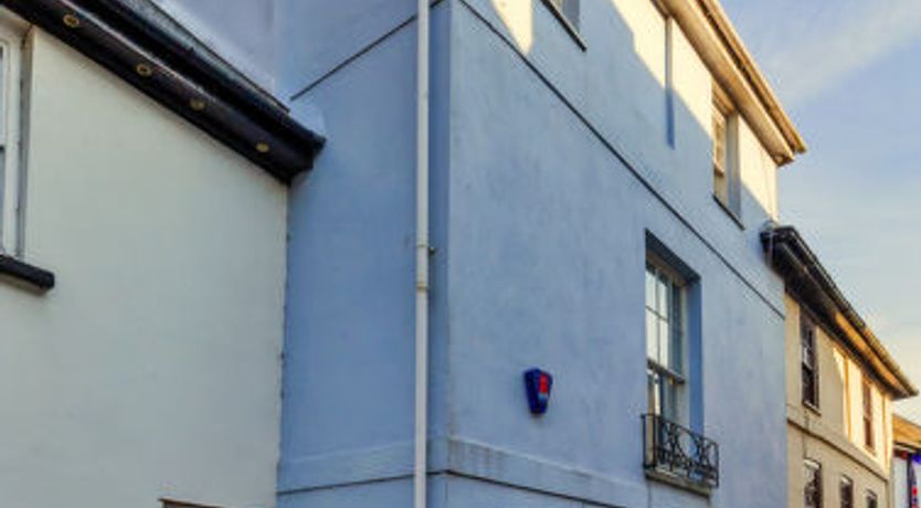 Photo of Blue Monkey