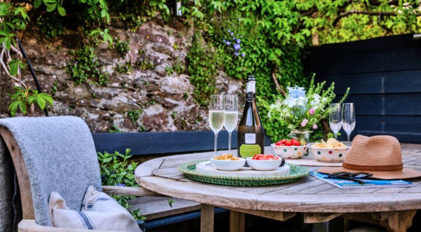 Photo of Blue Monkey