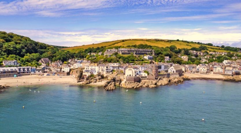 Photo of Blue Monkey