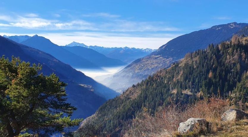 Photo of Thermik 3 1. OG Süd