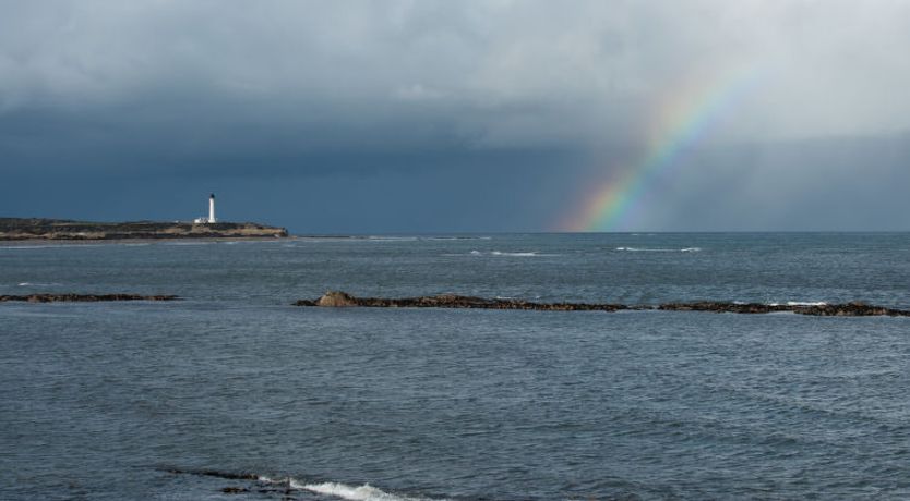 Photo of Waters Edge